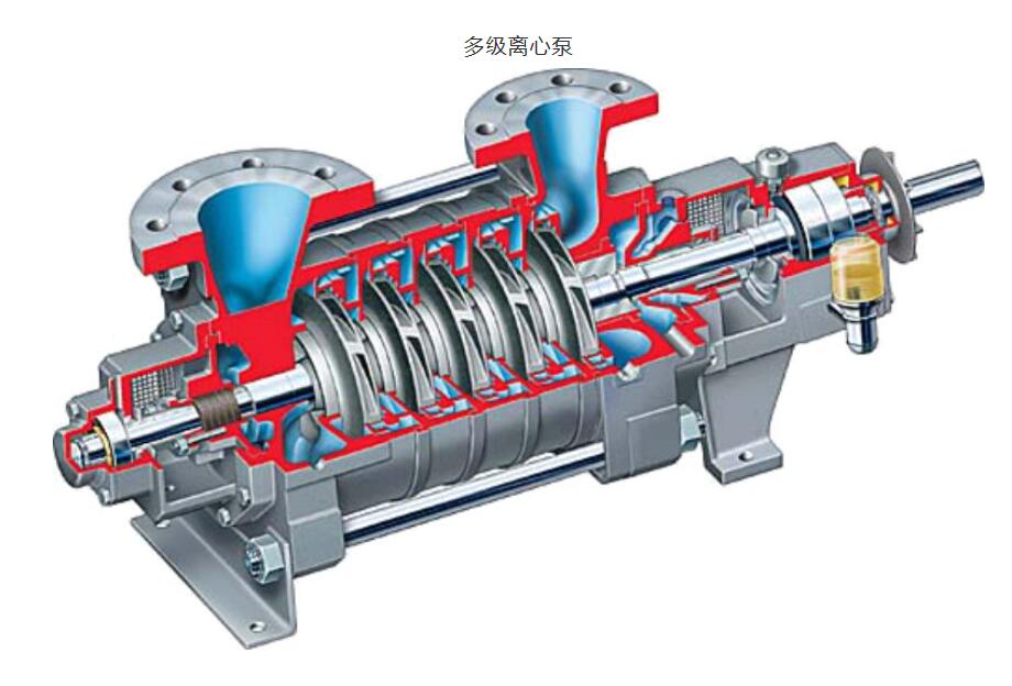 多级黄色看片网站下载