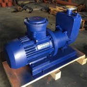 不锈钢自吸式免费看片黄色如何避免操作时出错