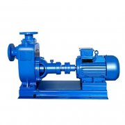 安装化工立式多级黄色看片网站下载对吗